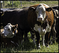 nyhet 24sep1 nyhet 24sep1