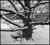 nyhet202112 nyhet202112