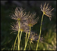 nyhet2021maj nyhet2021maj