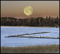 nyhet2022mars1 nyhet2022mars1