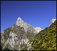 nyhet22maj nyhet22maj