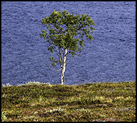 nyhet23okt nyhet23okt