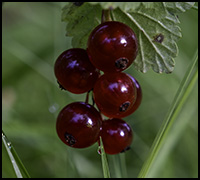 nyhet23sept nyhet23sept