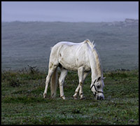 nyhet24dec2 nyhet24dec2