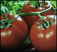 nyhet24dec3 nyhet24dec3