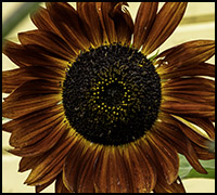 nyhetaug21 nyhetaug21