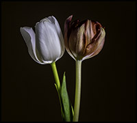 nyhetmars1 nyhetmars1