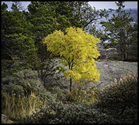 nyhetokt21 nyhetokt21