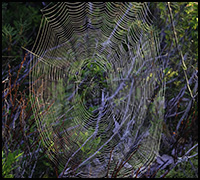 nyhetsept22A nyhetsept22A