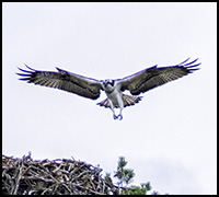 nyhetsept22c nyhetsept22c