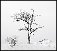 nyhetsept22mars1 nyhetsept22mars1