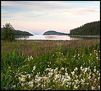 barsta17_NN barsta17_NN